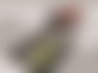 A Rear Property Extension 3D Visulisation