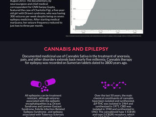 Cannabis and Epilepsy