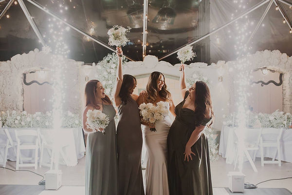 Mj & Ben Wedding Reception Photo - Bridal Party