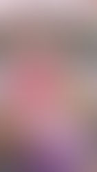 2026 WEDDING TREND FORECAST (OUR PREDICTIONS)