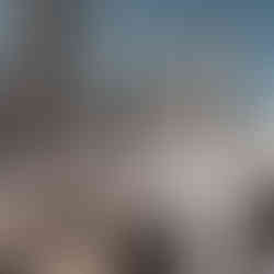 Cinco de Mayo Party - Guests