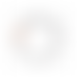 Willow & Bloom Events - Vendor Partner