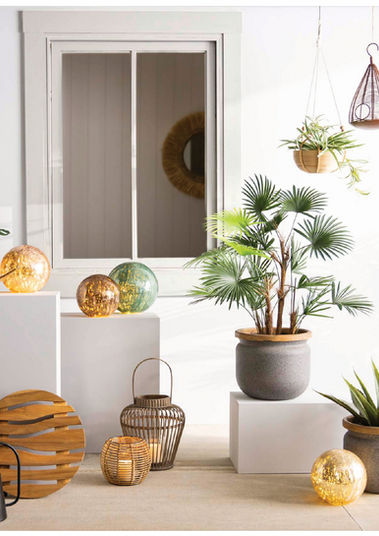 VivaTerra 2024 Catalog Release Outdoor