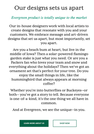 Landing Page Excerpt - Rebranding Initiative