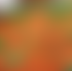 Almôndegas de Carne Suína e Bovina