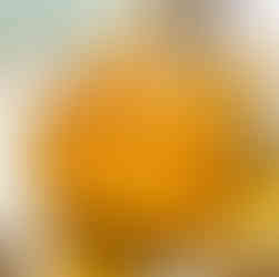 Frango Inteiro na Panela de Pressão