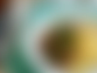 Boeuf Bourguignon (Carne Cozida no Vinho com Vegetais) | Receita