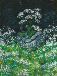Baby's Breath