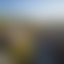 Luxusní ubytování na Dolní Moravě: Poznejte apartmány Nora