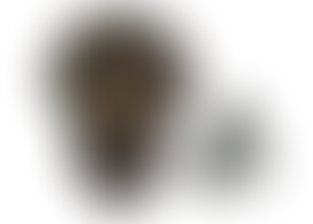 speaker plaatje koptelefoon