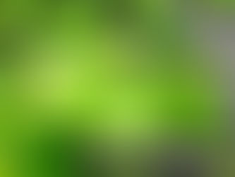 水目サクラアロマ