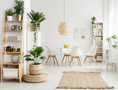 residential cleaning