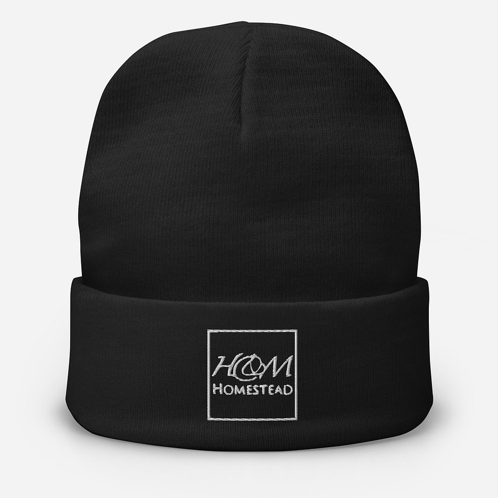 Thumbnail: H&M Homestead Embroidered Beanie