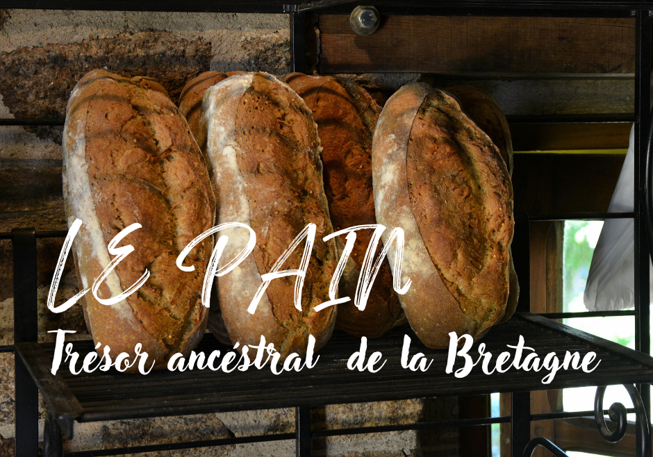 Le pain : Trésor ancestral de la Bretagne