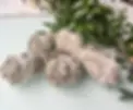 E55AE9FA-4C73-46C7-A3C7-CEB1AC97B725_1024x1024_2x.webp