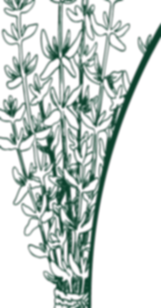 Logo La Siroterie VERT -SB_edited_edited_edited.png