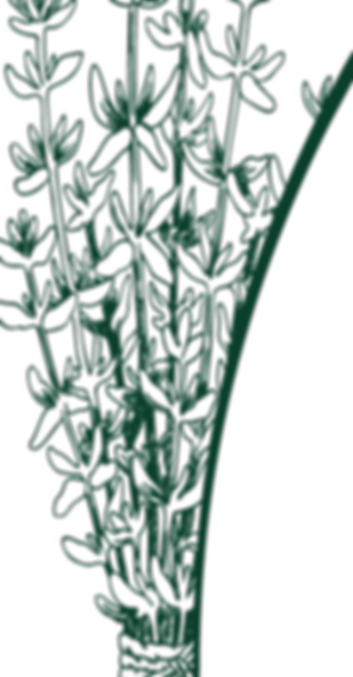 Logo La Siroterie VERT -SB_edited_edited_edited.png
