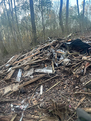 lumber pile.jpeg
