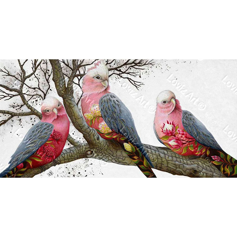 Thumbnail: 1786 "What a Galah" Canvas