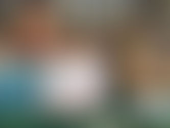 BOOK QUIVER - Be brave with "Queenie Wahine" & "Little Millie"