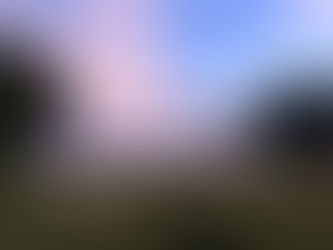 Joint 16th, 18th and 50th Birthday Party! August 2024