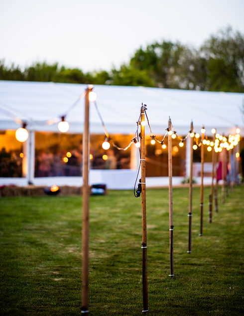 ©WildWeddings#2678Celia+Tom-1886.jpg