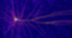 neuron.jpg