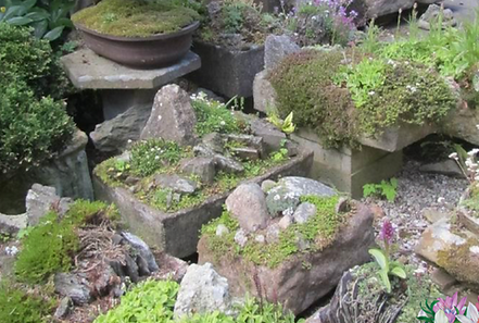 IP A MOVEABLE GARDEN.png