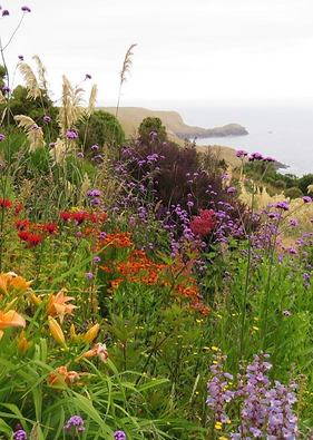 Fishermans bay garden.png