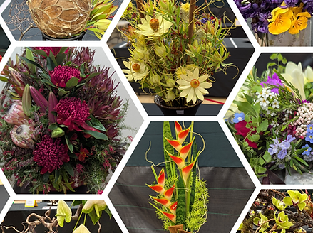 Botanical Expo website photo.png
