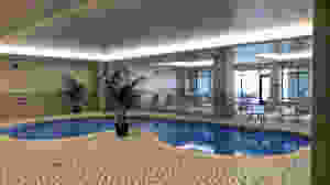 Michigan-shaped pool
