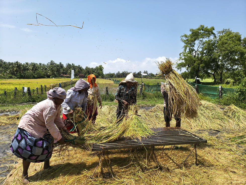 WhatsApp Image 2025-10-09 at 18.43.49 (2).jpeg