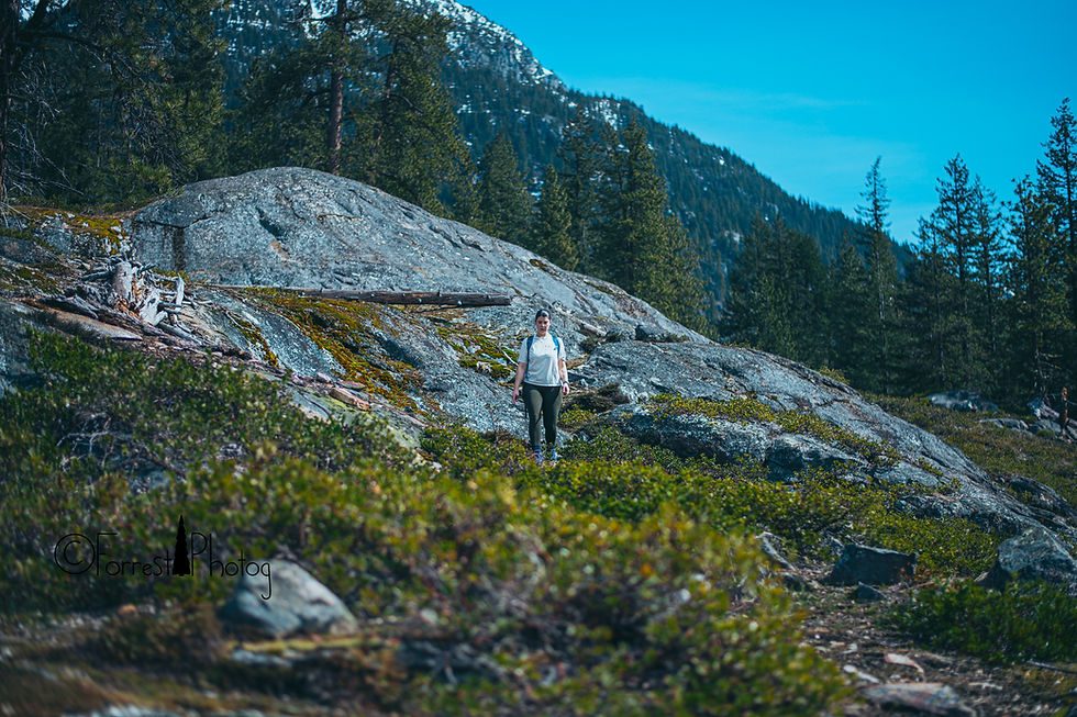 Looking for flowers below the lake.