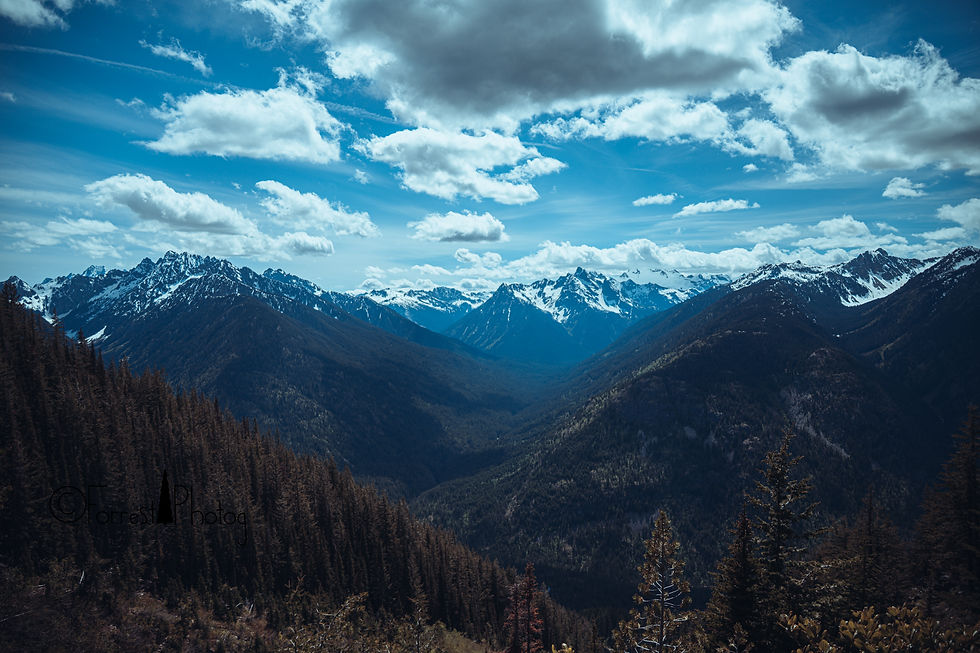 The view from 5200', Bonanza is peaking over the shoulder of Tupshin to the left hand side, and the Chickamin glacier sits under a layer of clouds in the center right.
