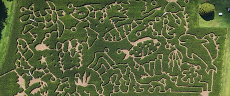 Maze 2025_edited.jpg