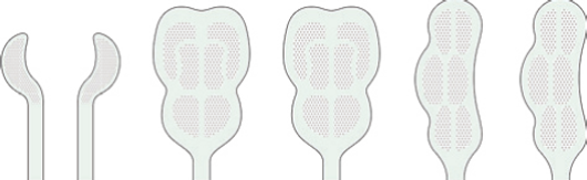 catalog_EMPATCH!@#$%^&_()_ +.png