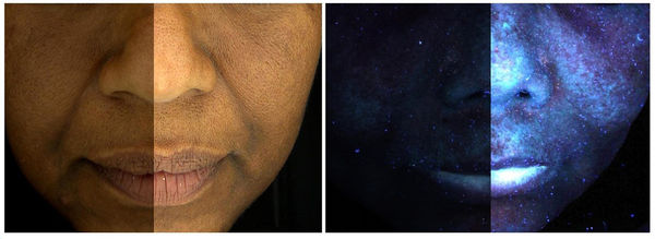 1200x0_65c06a7cbf012 복사.jpg