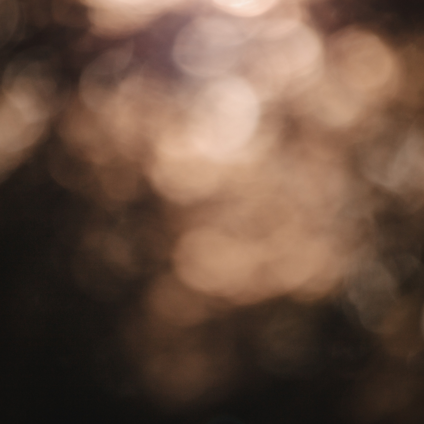 bg.png