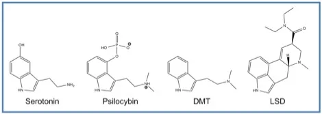 Fig-1-Psychedelics.webp