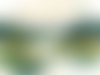 Sacred Sacraments – Year in Review & What's Ahead In 2026