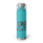 Insulated Bottle