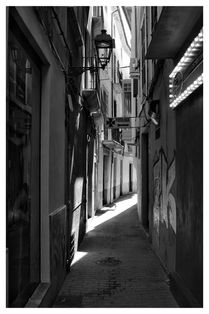 monochrome alley.jpg