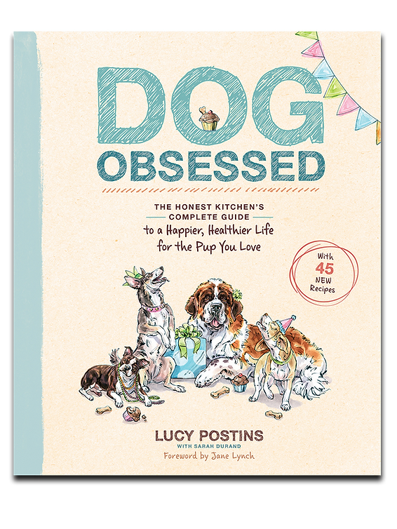 Dog Obsessed A Passionate Owner S Guide