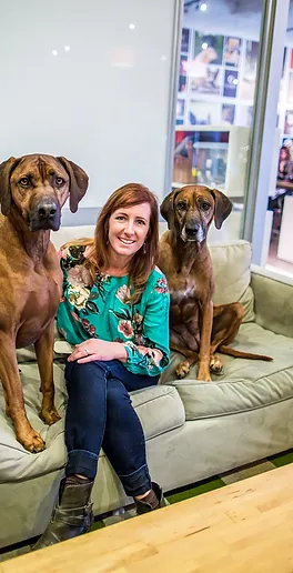 animal nutritionist