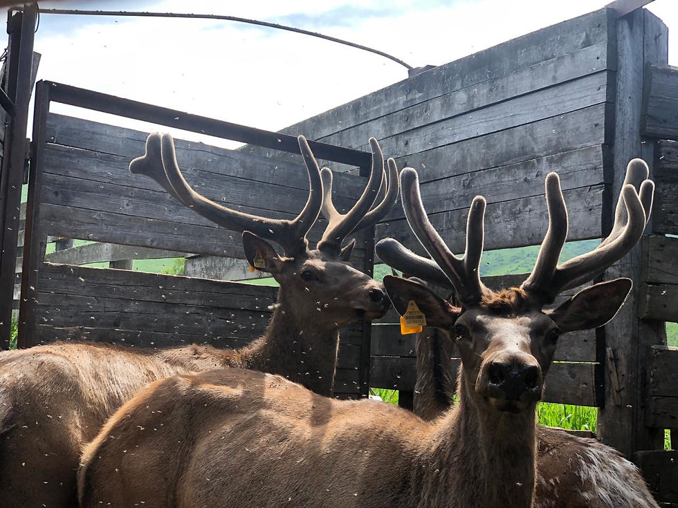 image-28-05-20-06-02-18