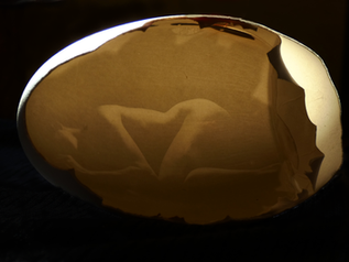 Photosensitizing eggshell with black magic emulsion - first attempt