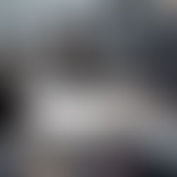 Professional Mold Removal for Vehicles in Portland & Seattle