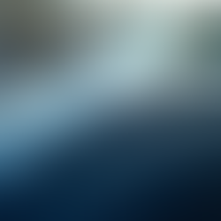 Benefits of Car Detailing: Why Hiring Professional Car Detailers Makes a Difference