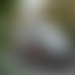 Community Support Fuels The Detail Maestro's Mobile Detailing Success in Seattle