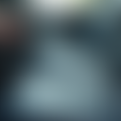 The Importance of Scent Free Car Detailing and How The Detail Maestro Meets Your Needs